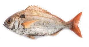 Pescados