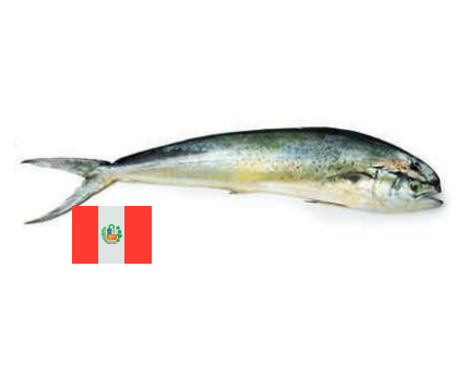 Mahi Mahi (Dorado)