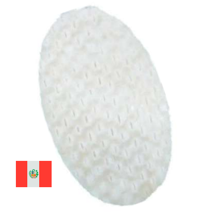 Steak Oval de Pota IQF