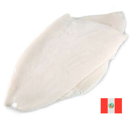 Filete de Pota